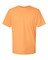 6 Pack Softstyle CVC T-Shirt Bundle for Everyday Comfort & Bulk Tee